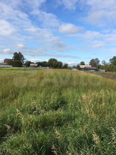 Участок 52 сот. (ИЖС)