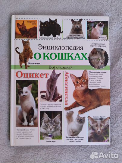 Энциклопедия о кошках