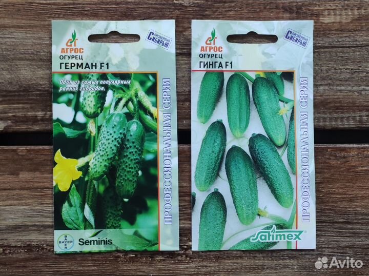 Семена огурцов