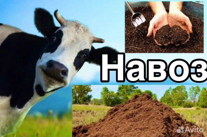 Навоз коровий с доставкой