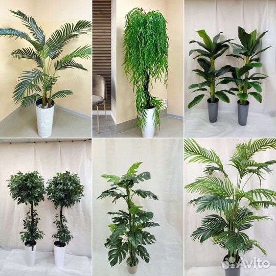 Фикус Изящный цветок искусственный деревья домой