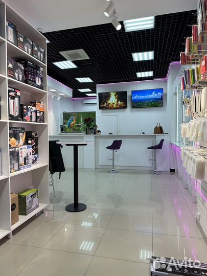 iPhone 13 в рассрочку