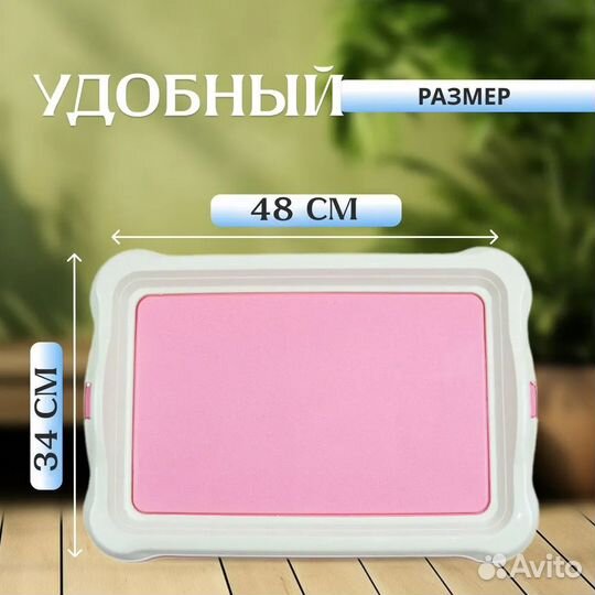 Лоток под пеленку для собак