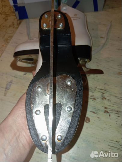 Коньки фигурные Монтана голд