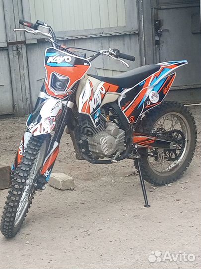 Кайо к1 2024
