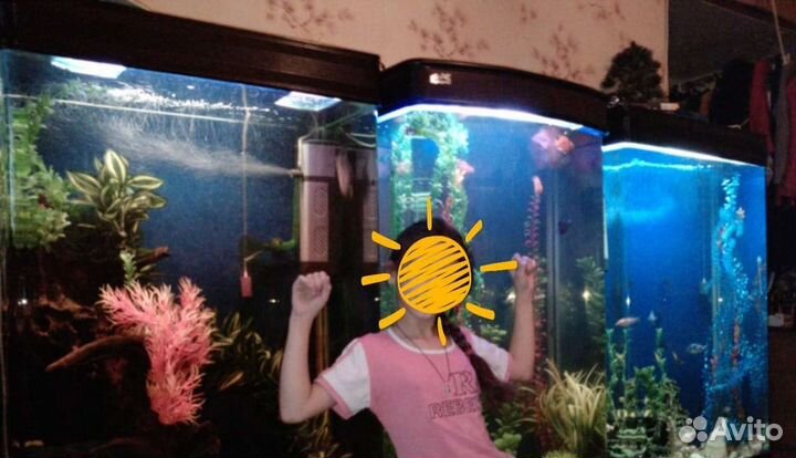 Аквариум эксклюзивный, панорамный