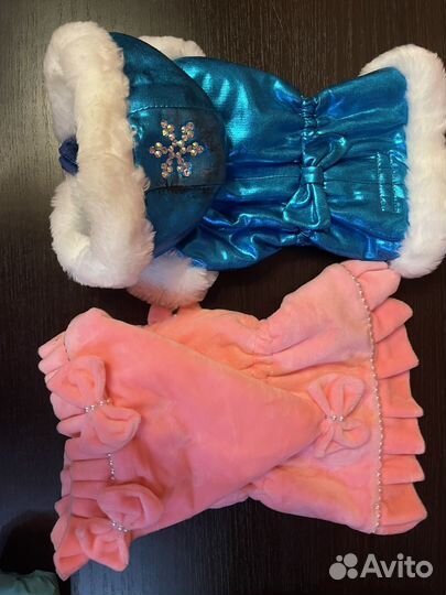 Одежда для собак