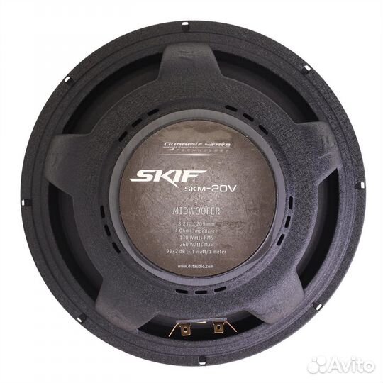 Акустика Dynamic State skif SKM-20V