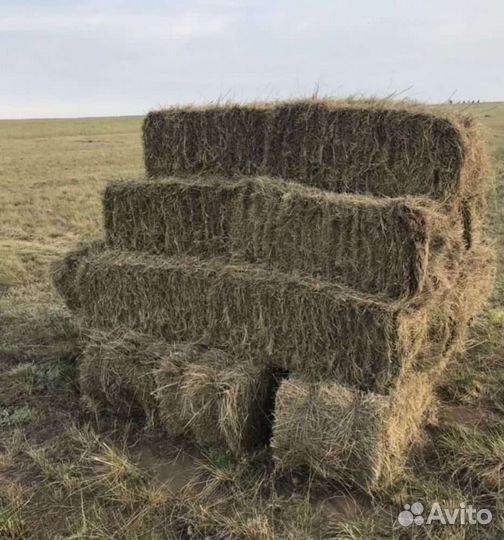 Сено, козлятник в тюках