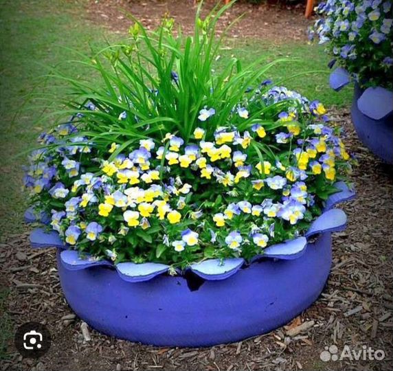 Клумбы для цветов