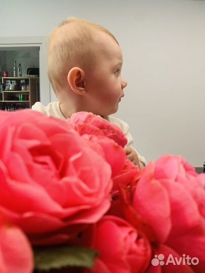 Ребенок модель для фотосессии