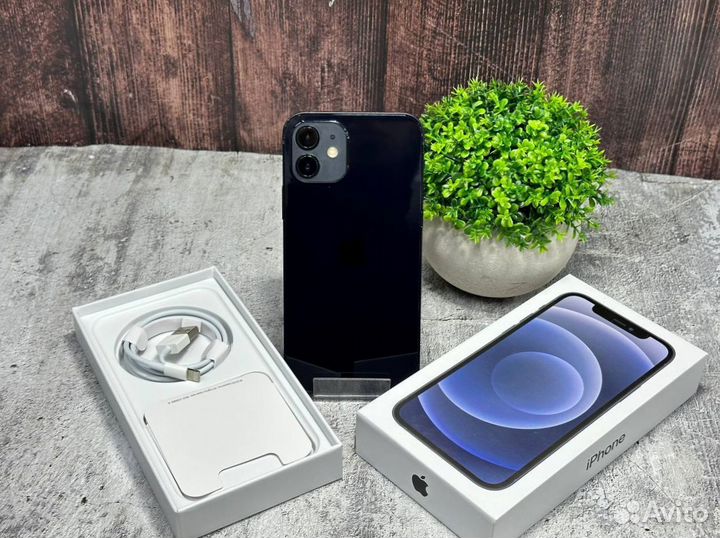 iPhone 12, 256 ГБ