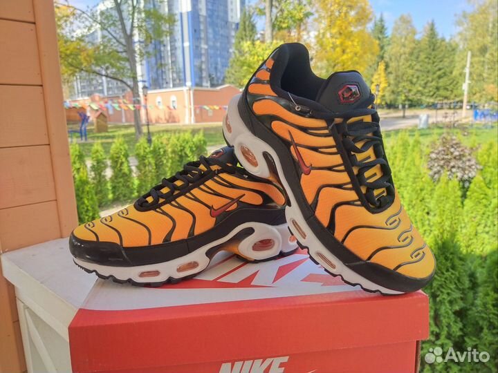 Кроссовки nike air max tn plus