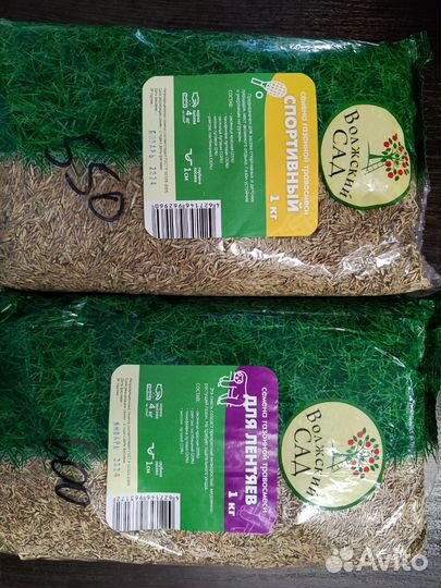 Газонная трава