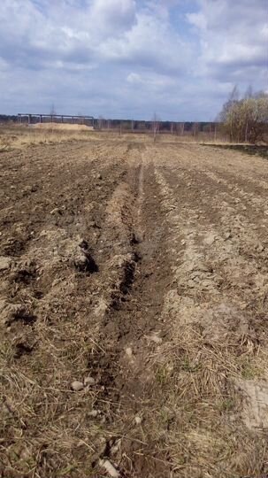 Участок 10 сот. (ИЖС)