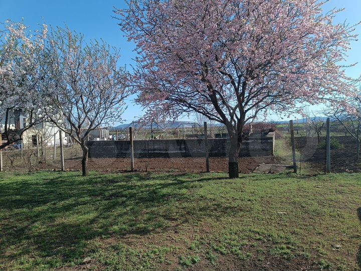 Участок 25 сот. (ИЖС)