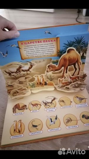 Книга музыкальная