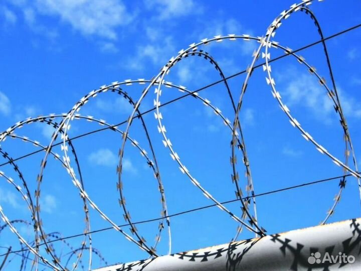 Колючая проволока