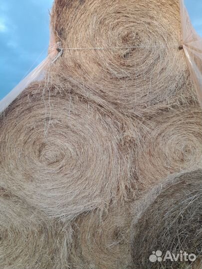 Сено в рулонах