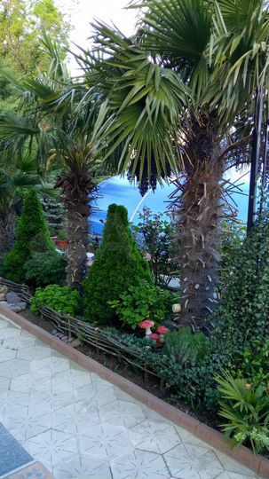 Дом 300 м² на участке 15 сот.