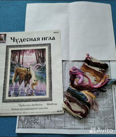 Схема для вышивания Чудесное видение лошади