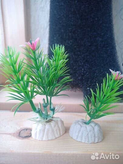 Аквариум(комплект)