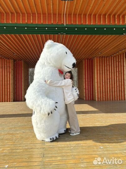 Поздравление медведь