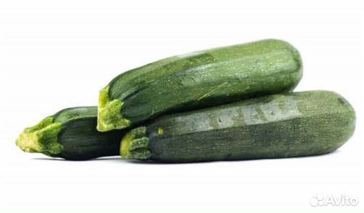 Кабачки домашние