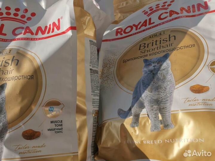 Корм сухой Royal Canin 4 кг для Британских кошек