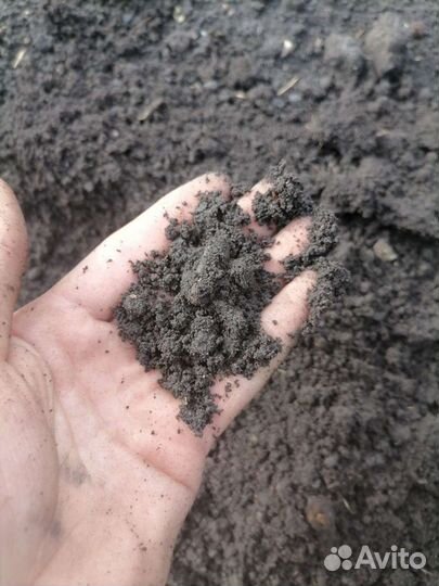 Чернозем в алексеевку