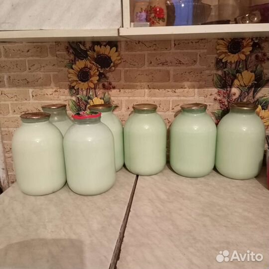 Молоко коровье домашнее