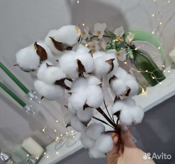 Хлопок сухоцвет букет (45-50см высота)