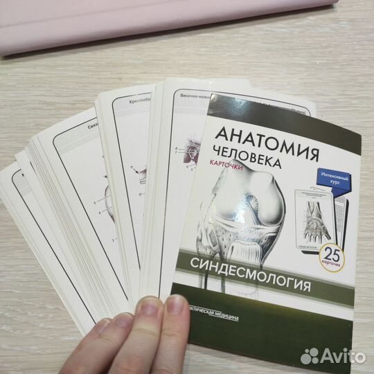 Карточки по анатомии