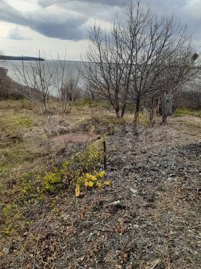 Участок 30 сот. (ИЖС)