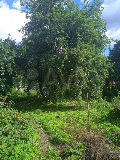 Участок 18,5 сот. (ИЖС)