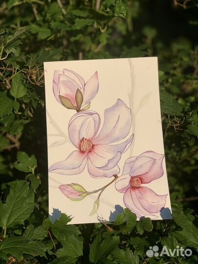 Картина акварель «Магнолия», размер А4