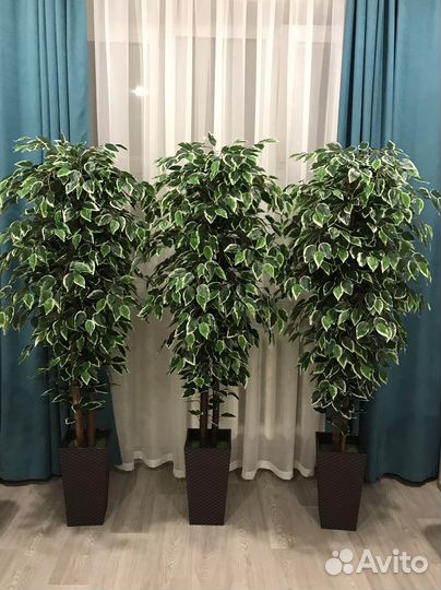 Фикус бенджамина искусственный