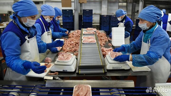 Разнорабочие с ежедневной оплатой (Липецк)