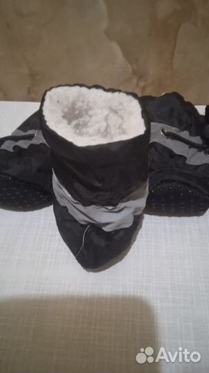 Ботинки для собак