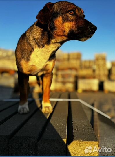 Брусчатка от производителя