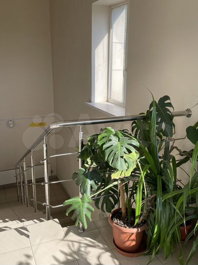 Свободного назначения, 2476.16 м²