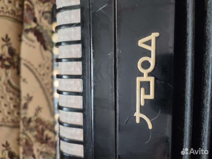 Баян тульский