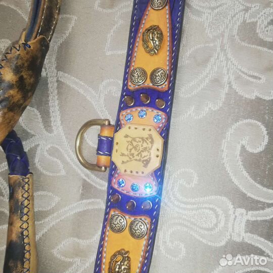 Ошейник для собак