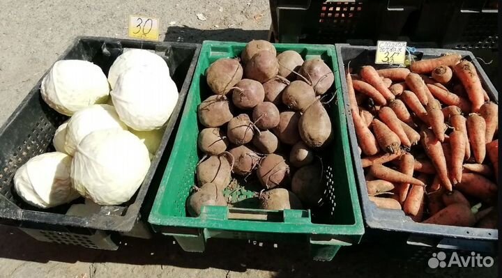 Ящик пластиковый овощной новый от Производителя