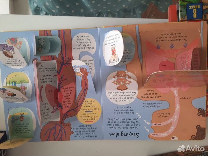 Книги для детей на английском языке
