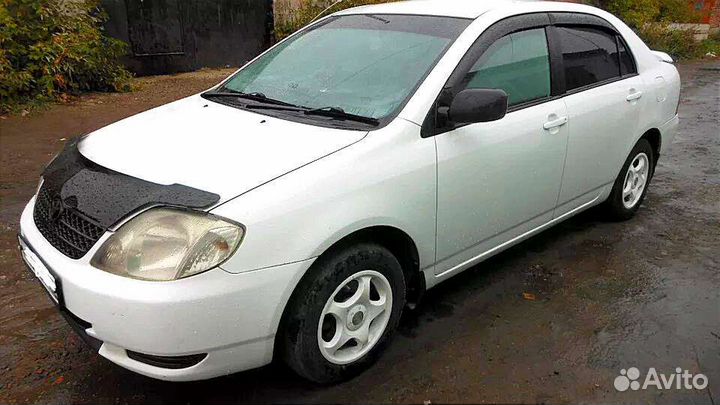 Аренда авто
