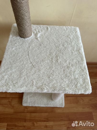 Когтеточка