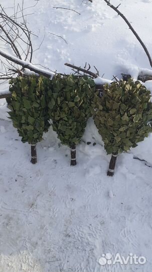 Березовые веники