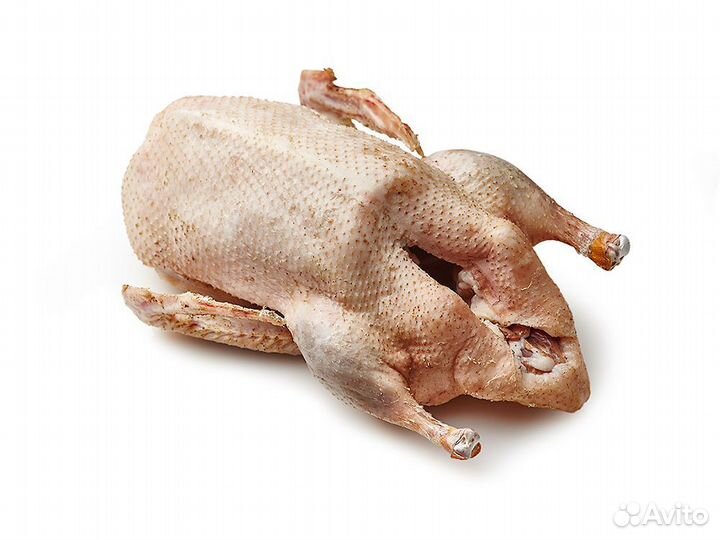 Гусь домашнее мясо
