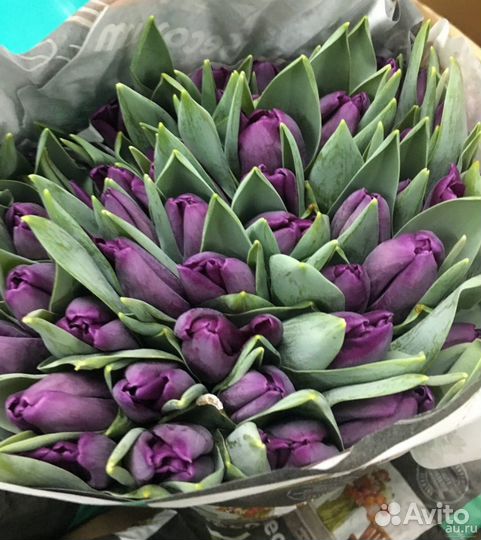 Тюльпаны оптом